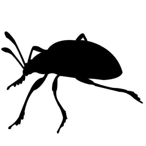 pest icon
